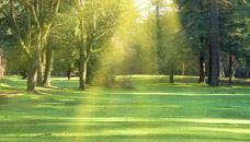 Cofield Funeral Home